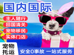 保山云瑞航空邮寄国际宠物托运 【国